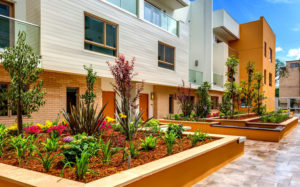 The Cassini, 135-145 S. Wilson Avenue - Pasadena condominiums - Courtyard