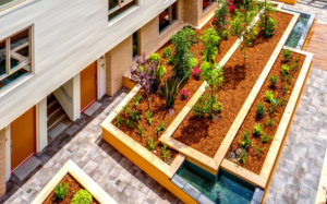 The Cassini, 135-145 S. Wilson Avenue - Pasadena condominiums - Courtyard